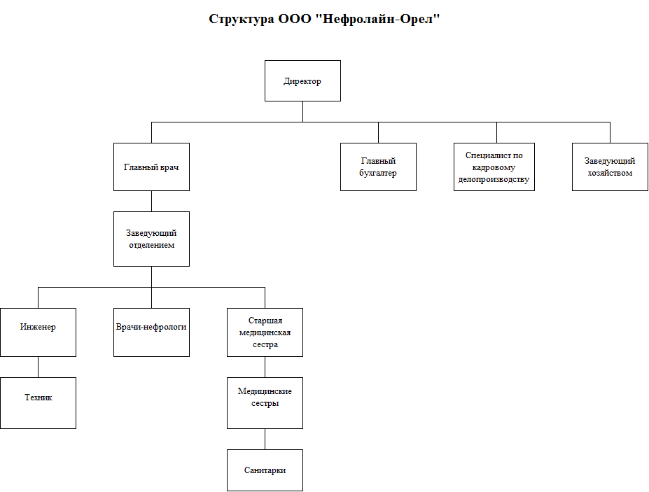 Структура организации